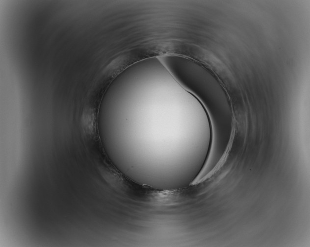 X0000096380092200802211130