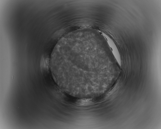 X0000096380093200802211130