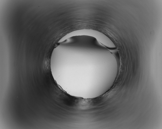 X0000096380096200802211130