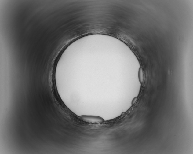 X0000096380098200802211129