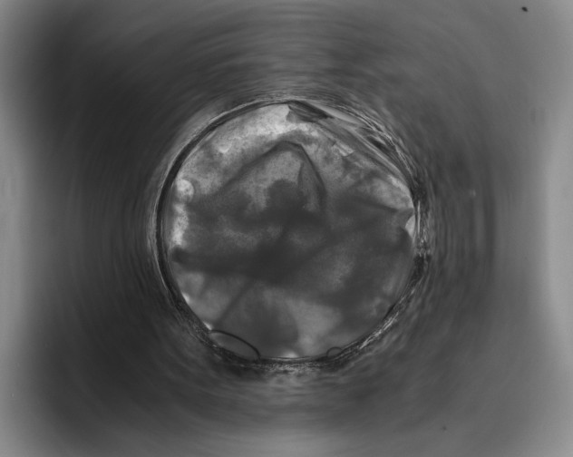 X0000096380099200802211129