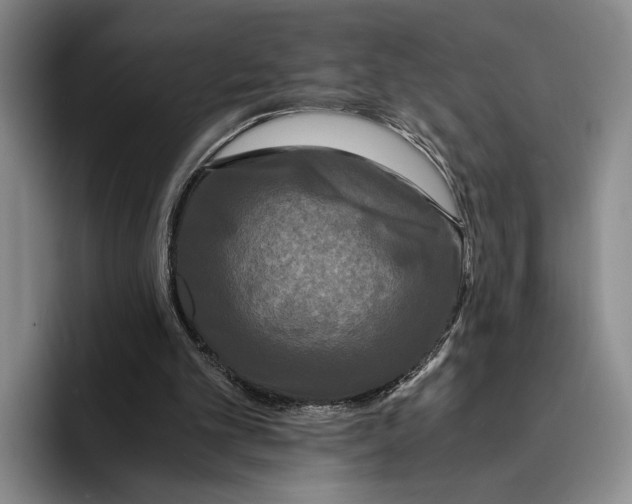 X0000096380101200802211129