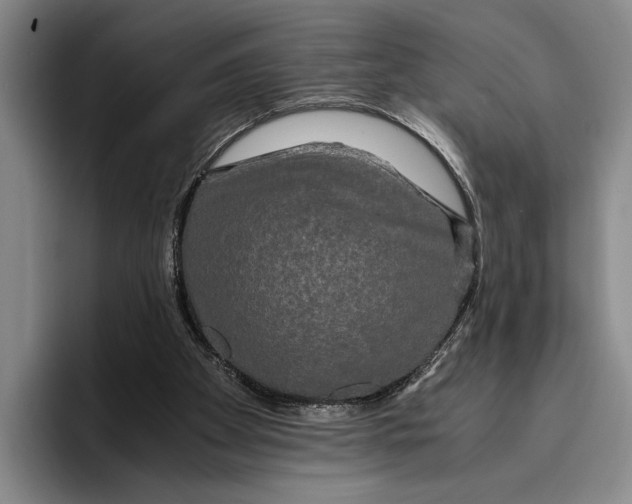 X0000096380105200802211129