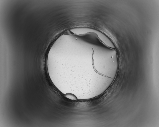 X0000096380107200802211129