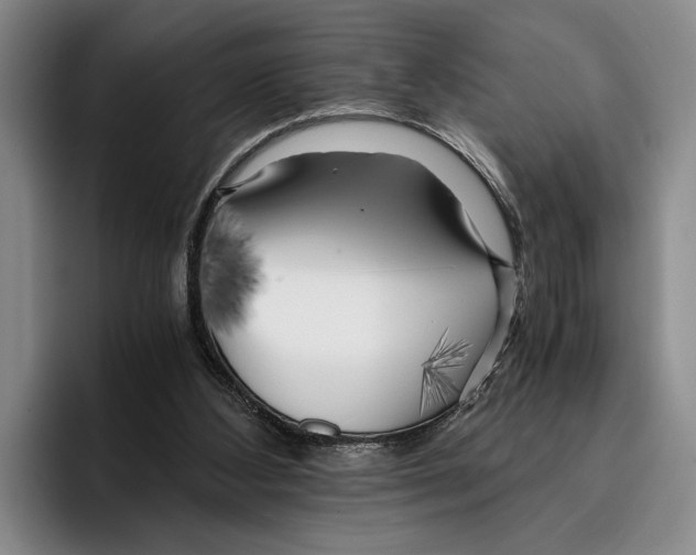 X0000096380108200802211129