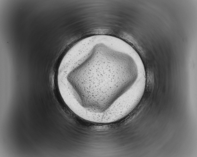 X0000096380110200802211129