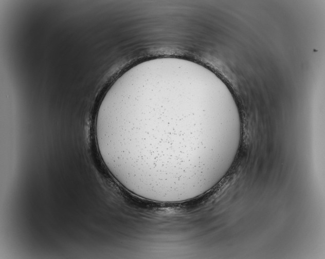 X0000096380111200802211129