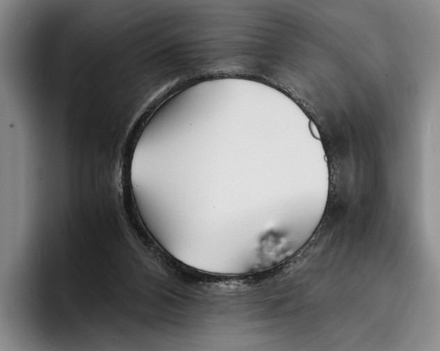 X0000096380112200802211129