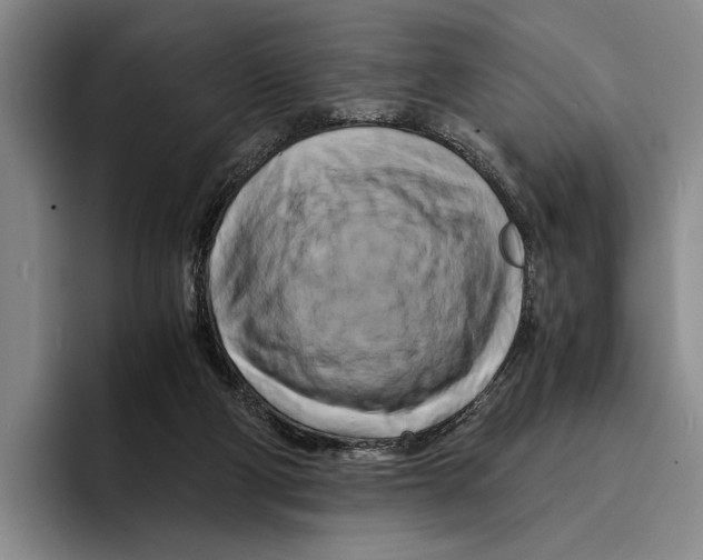 X0000096380114200802211129