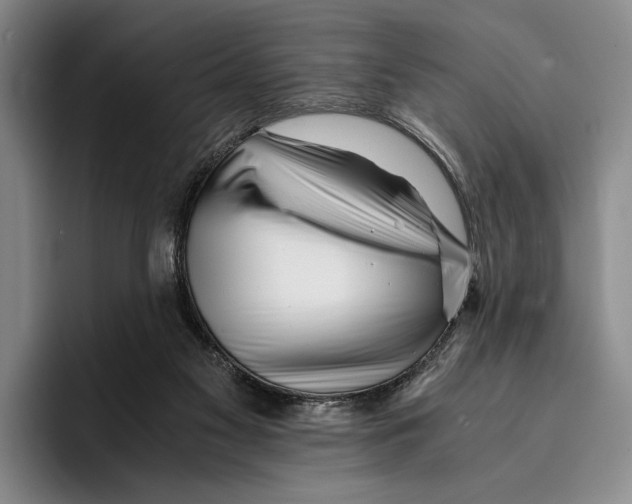 X0000096380117200802211129