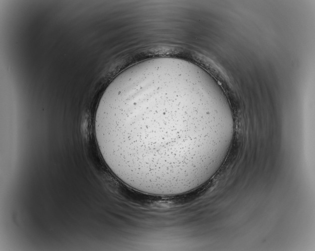 X0000096380119200802211129