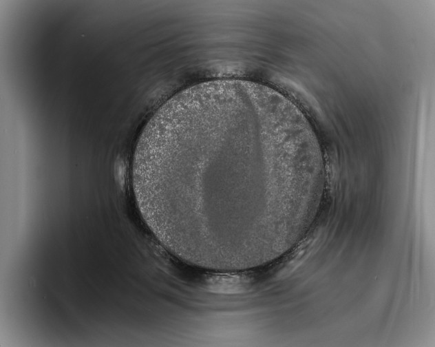 X0000096380123200802211129