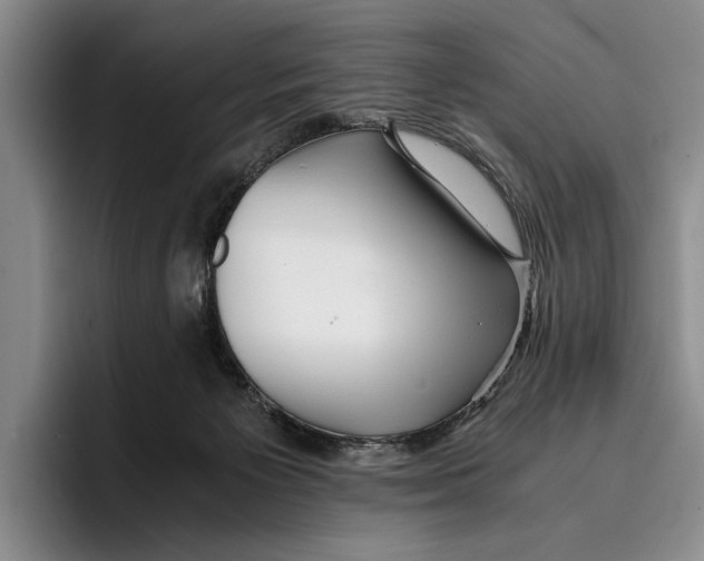 X0000096380125200802211129