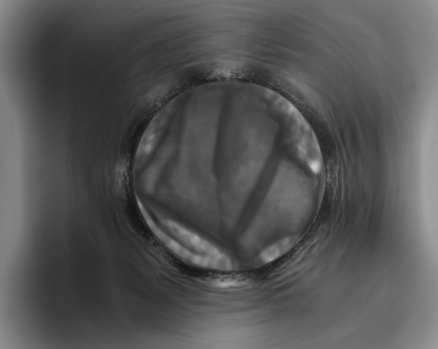 X0000096380127200802211129