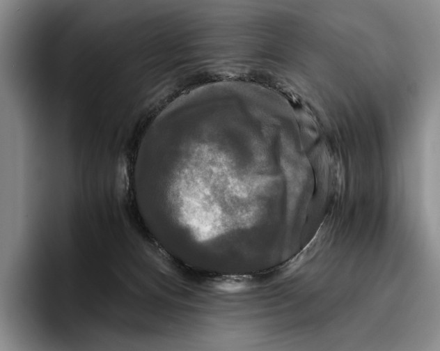 X0000096380128200802211129