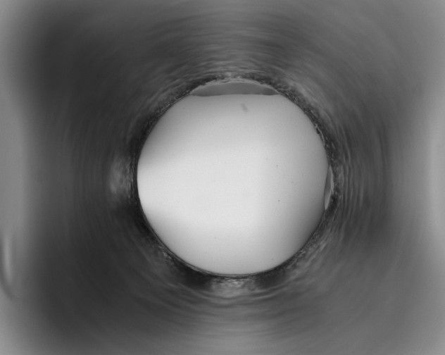 X0000096380129200802211129