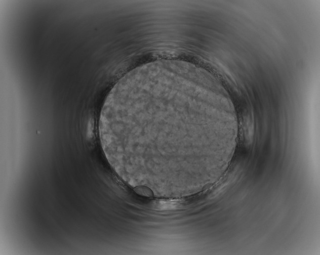 X0000096380134200802211129