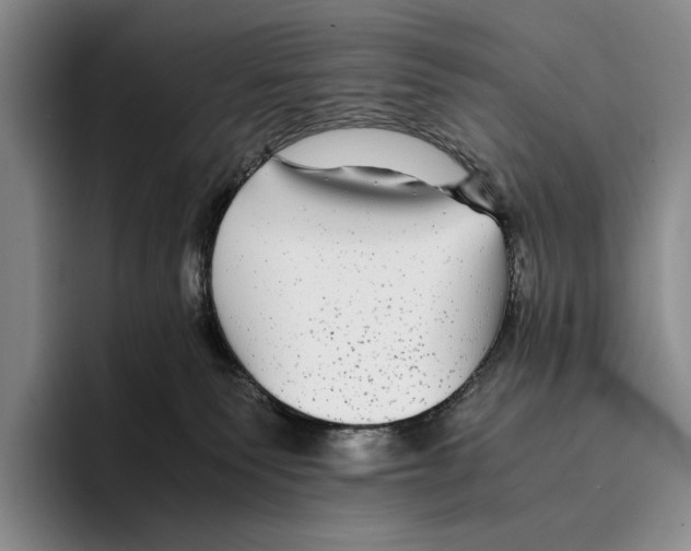 X0000096380135200802211129