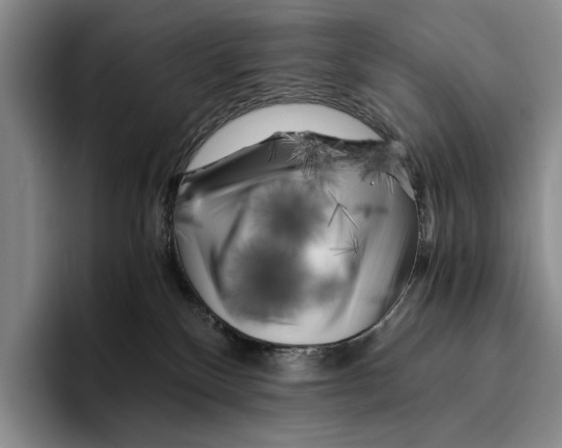 X0000096380136200802211129