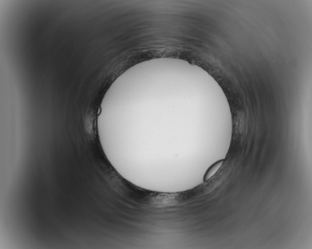 X0000096380138200802211129