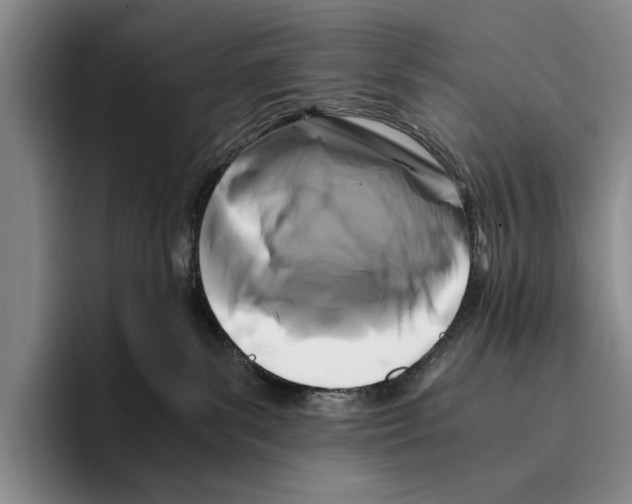 X0000096380139200802211129