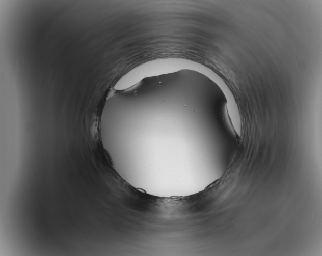 X0000096380141200802211129