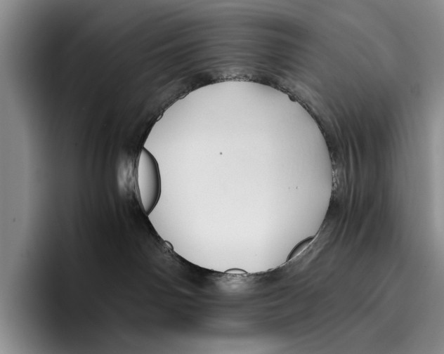 X0000096380142200802211129