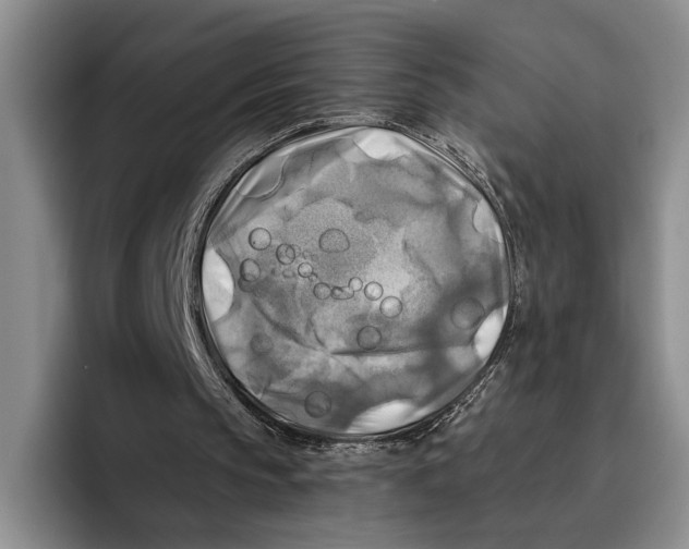 X0000096380145200802211128