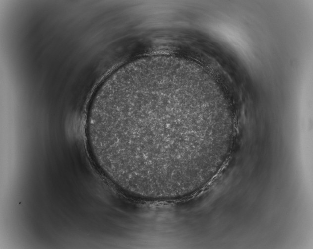 X0000096380146200802211128