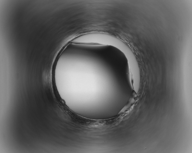 X0000096380148200802211128