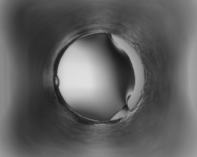 X0000096380150200802211128