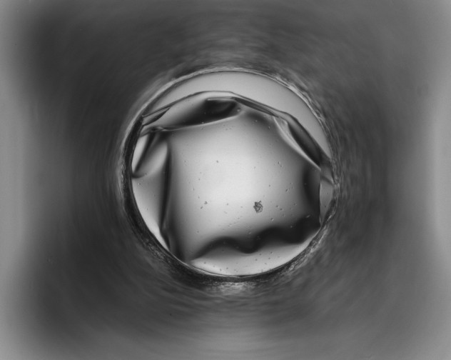 X0000096380152200802211128