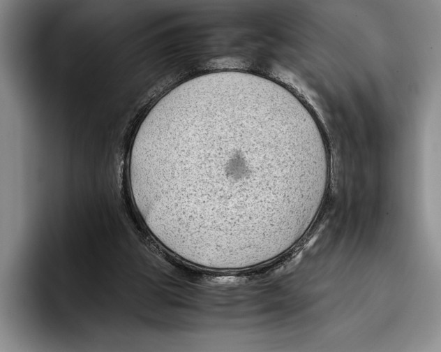 X0000096380153200802211128