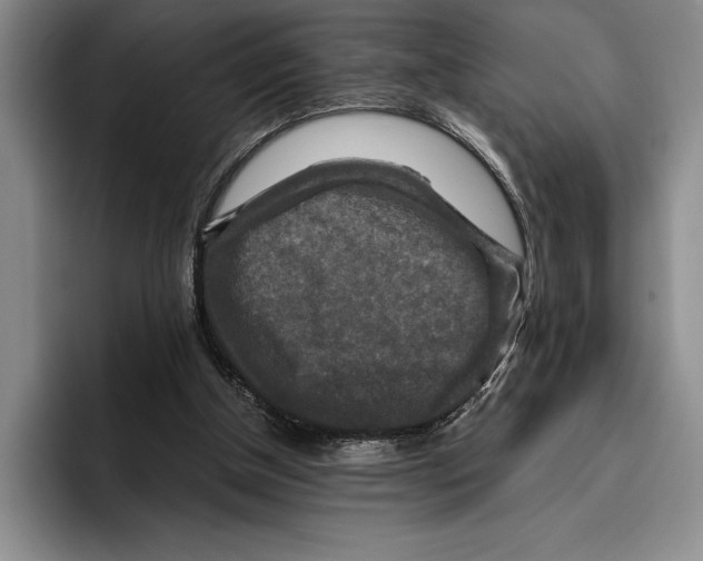 X0000096380154200802211128