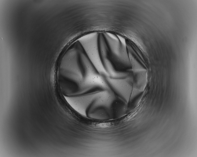 X0000096380156200802211128