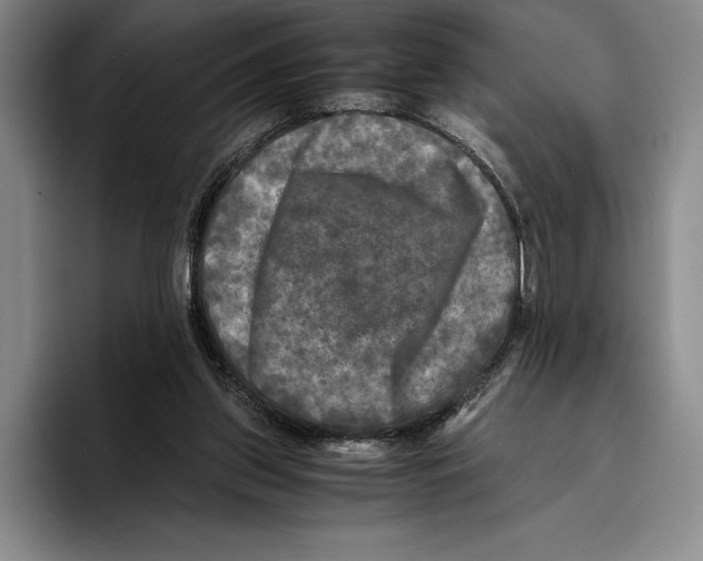 X0000096380157200802211128