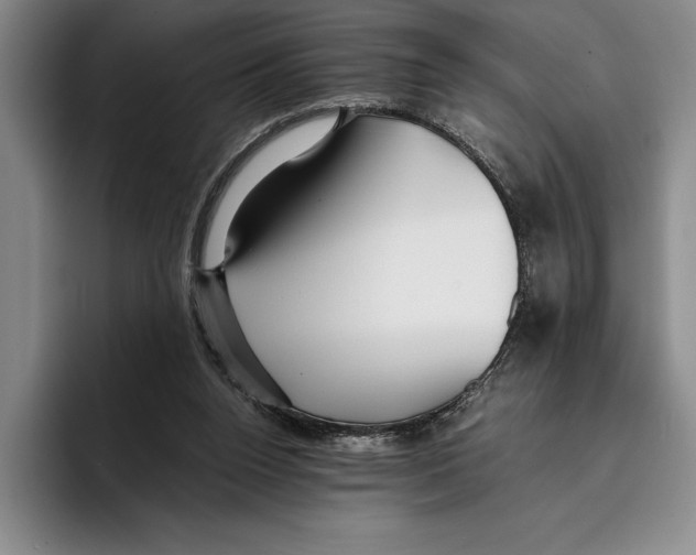 X0000096380160200802211128