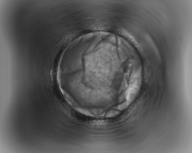 X0000096380161200802211128