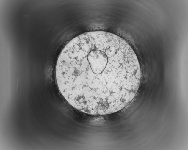 X0000096380162200802211128