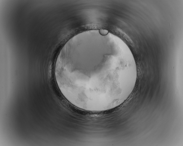 X0000096380163200802211128