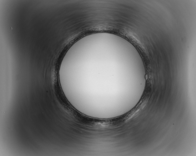 X0000096380164200802211128