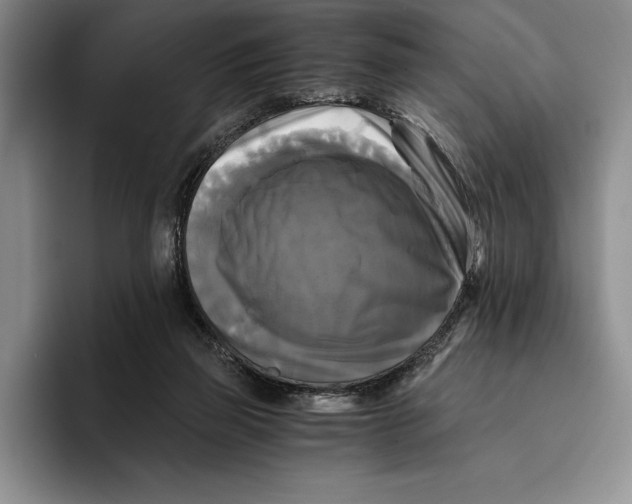 X0000096380165200802211128