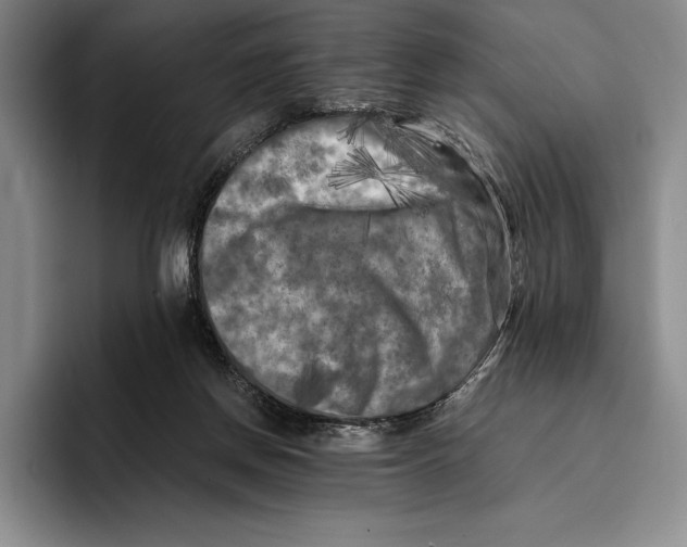 X0000096380166200802211128