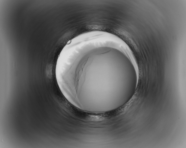 X0000096380167200802211128