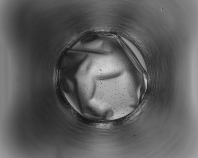 X0000096380168200802211128