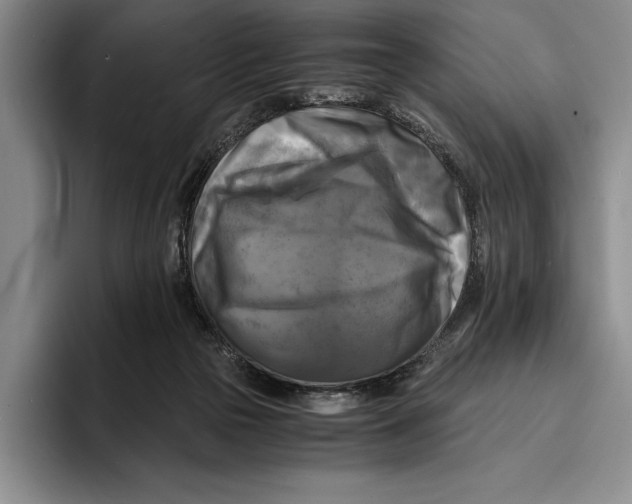 X0000096380169200802211128