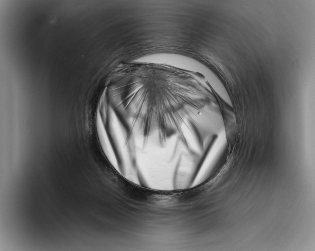 X0000096380170200802211128