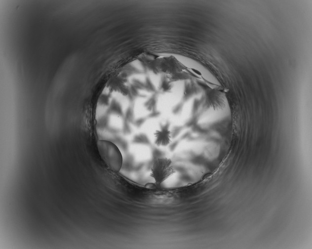 X0000096380175200802211128