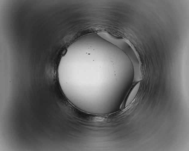 X0000096380176200802211128