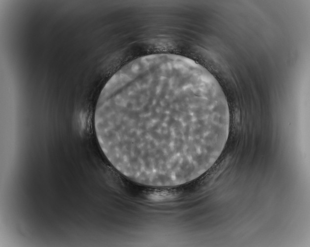 X0000096380177200802211128